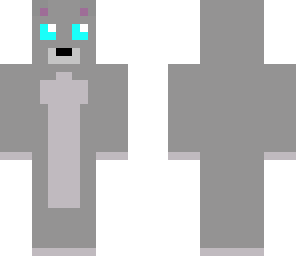 gray cat with blue eyes