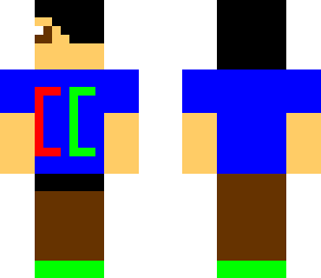 custom skin for bluelink