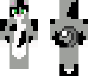 kitty cat