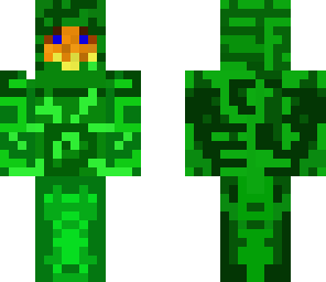 forest wizard