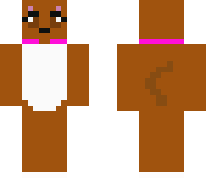 girl boxer dog