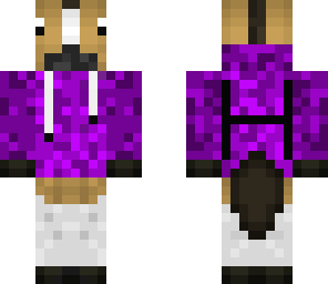 cool horse