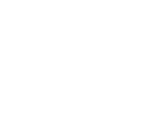 white blog