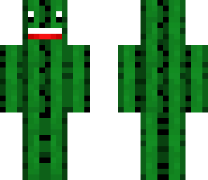 happy cactus