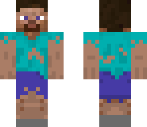 survivor steve