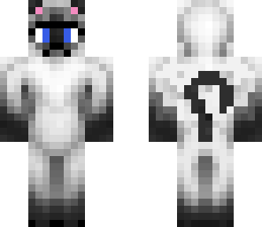 new simese cat