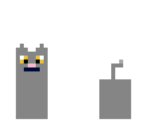 gray kitty