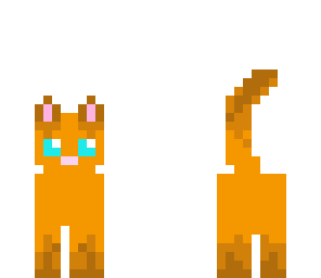 kitty