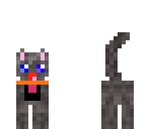 kitty