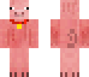 pet pig