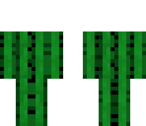 cactus slendy