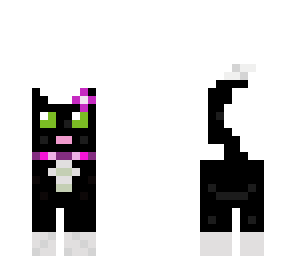 cat female
