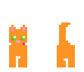 ginger kitty