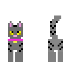 coco kitty