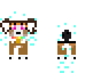 sparkling collie