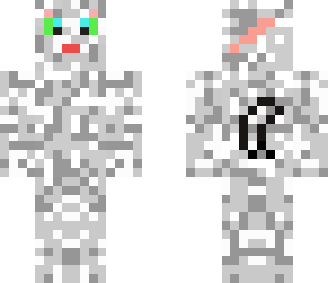 white 'n' gray cat