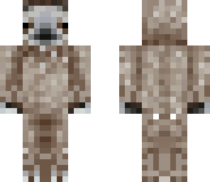 sloth