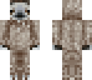 sloth