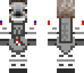 sloth astronaut