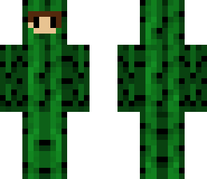 cactuscostume