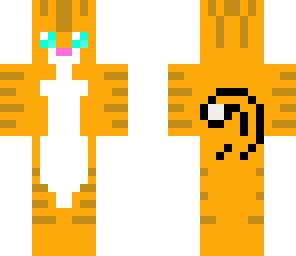 orange kitty