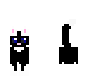 black and white cat