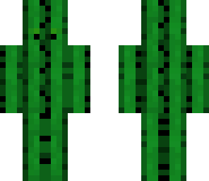 cool cactus