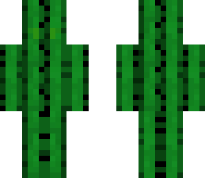 fix cool cactus