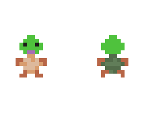 turtle