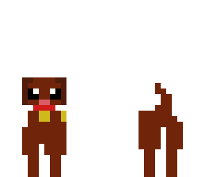 cute dog