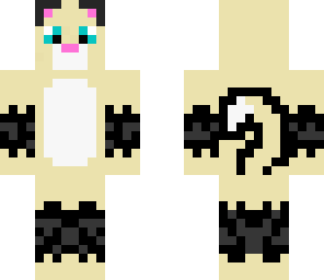 siamese kitty