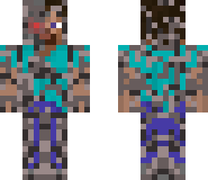 terminator steve