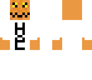 finn does minecraft