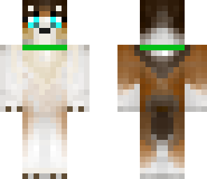 collie with green collar