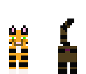 cat kitten