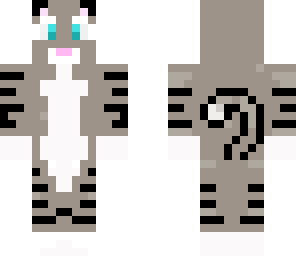 gray cat