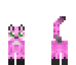 caosmuffin cat