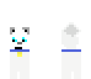 white wolf or dog