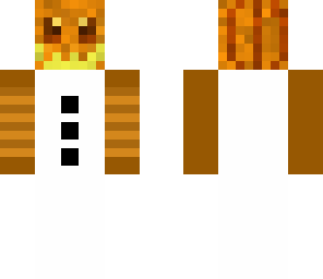 finn doesminecraft