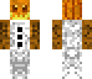 finn doesminecraft