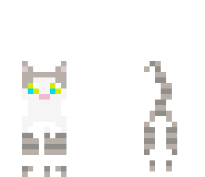 kitty tiger
