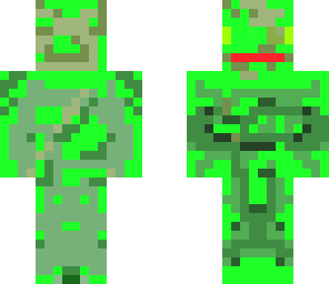 skin