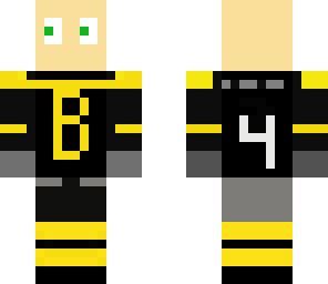 boston bruins