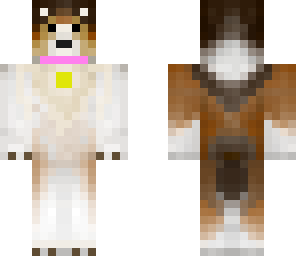 collie with collar 