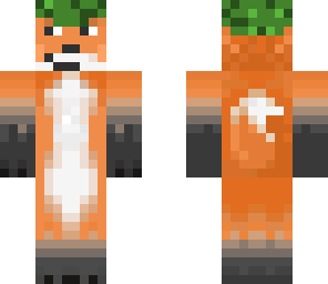 robin fox
