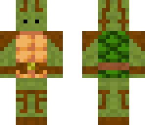 turtle