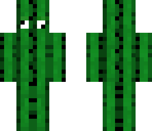 derpy cactus