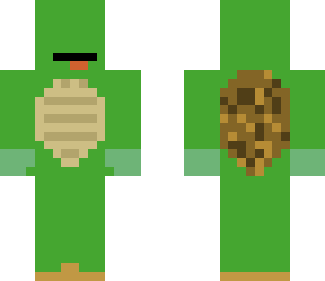 simple derpy turtle