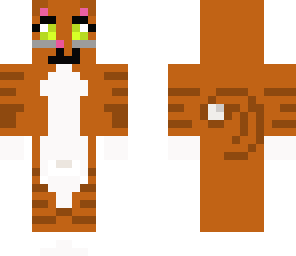 my cat skin dont use