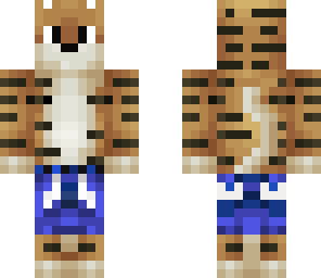 tiger boy 